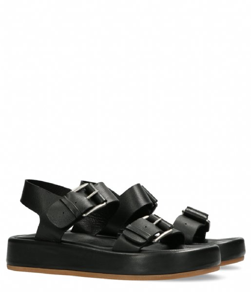 Shabbies Sandal Sandal Calf Nappa Leather Black (1000)